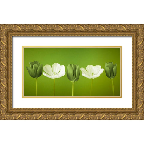AF20120424 Tulips 349C13 Gold Ornate Wood Framed Art Print with Double Matting by Frank, Assaf