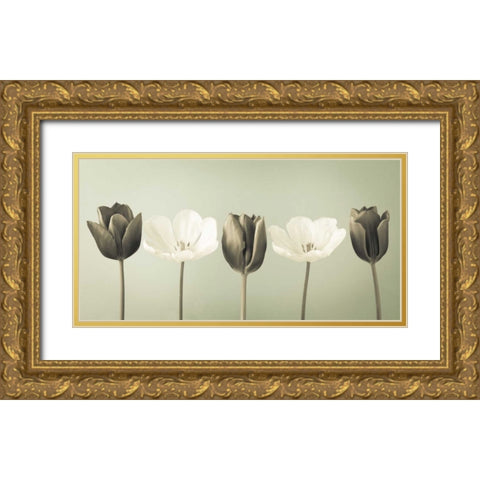 AF20120424 Tulips 353C04 Gold Ornate Wood Framed Art Print with Double Matting by Frank, Assaf
