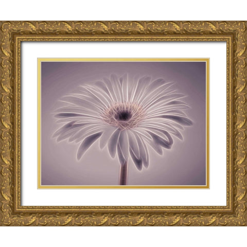 AF20110820 Gerbera 028C01PC02 Gold Ornate Wood Framed Art Print with Double Matting by Frank, Assaf