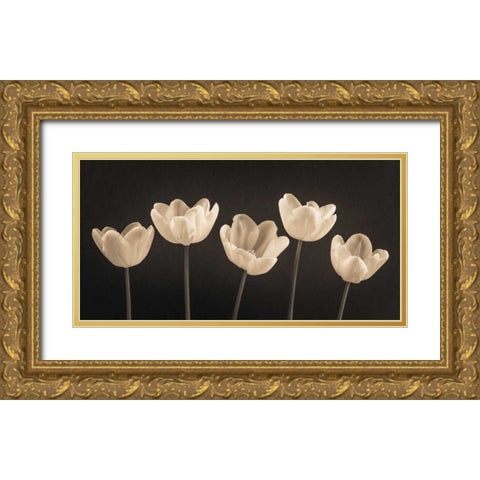Five Tulips in a row Gold Ornate Wood Framed Art Print with Double Matting by Frank, Assaf
