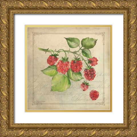 Rasberry Collage Gold Ornate Wood Framed Art Print with Double Matting by Marrott, Stephanie