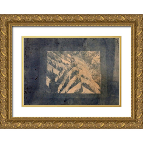 Ferns Framed Gold Ornate Wood Framed Art Print with Double Matting by Blue