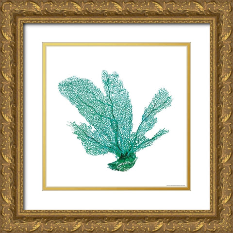 Green Sea Fan Gold Ornate Wood Framed Art Print with Double Matting by Brando, JJ