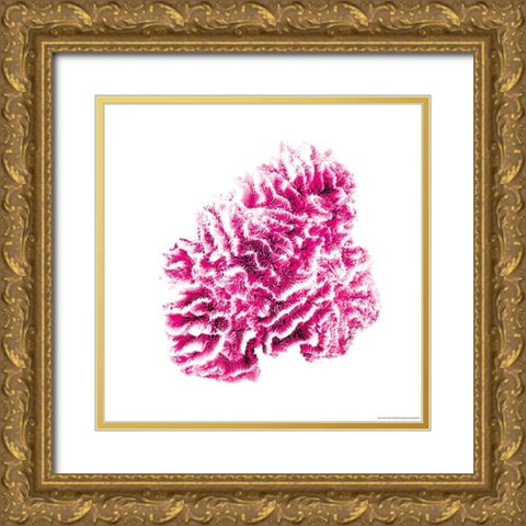 Red Coral Gold Ornate Wood Framed Art Print with Double Matting by Brando, JJ