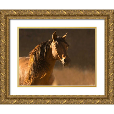 Golden Light Gold Ornate Wood Framed Art Print with Double Matting by Linden, Sally