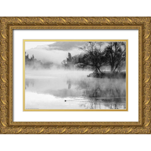 Fog On The Lake 2 Gold Ornate Wood Framed Art Print with Double Matting by Linden, Sally