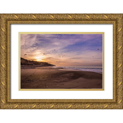 Morning Beach Walk Gold Ornate Wood Framed Art Print with Double Matting by Linden, Sally