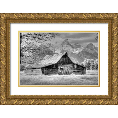 Sign Of The Feather Gold Ornate Wood Framed Art Print with Double Matting by Linden, Sally