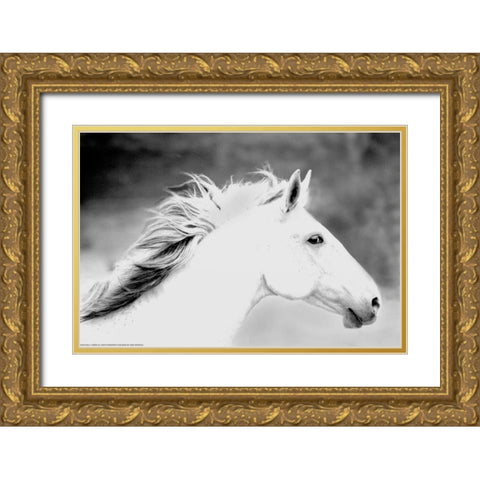 Mane In The Wind Gold Ornate Wood Framed Art Print with Double Matting by Linden, Sally