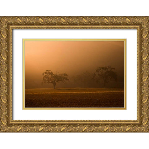 Sun Rising Gold Ornate Wood Framed Art Print with Double Matting by Linden, Sally