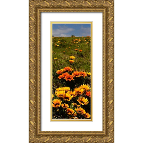 Flower Field Gold Ornate Wood Framed Art Print with Double Matting by Linden, Sally