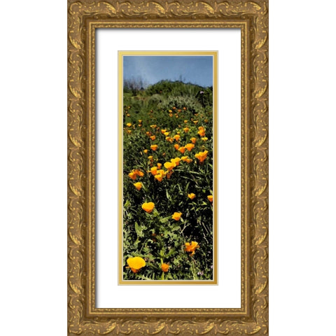 Poppy Stream Gold Ornate Wood Framed Art Print with Double Matting by Linden, Sally