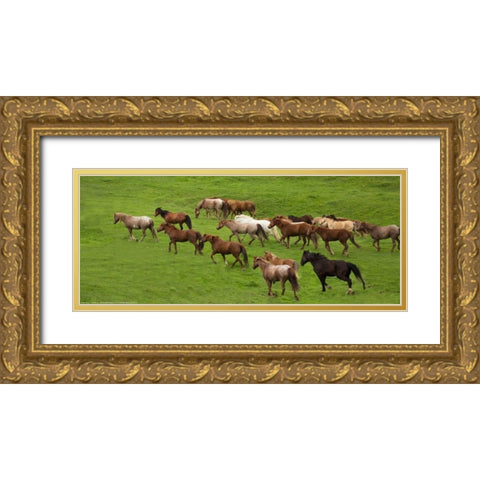 Wild Herd Gold Ornate Wood Framed Art Print with Double Matting by Linden, Sally