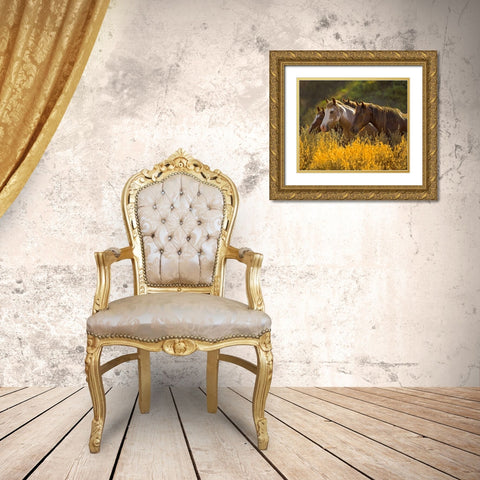 Horses In Gold Gold Ornate Wood Framed Art Print with Double Matting by Linden, Sally