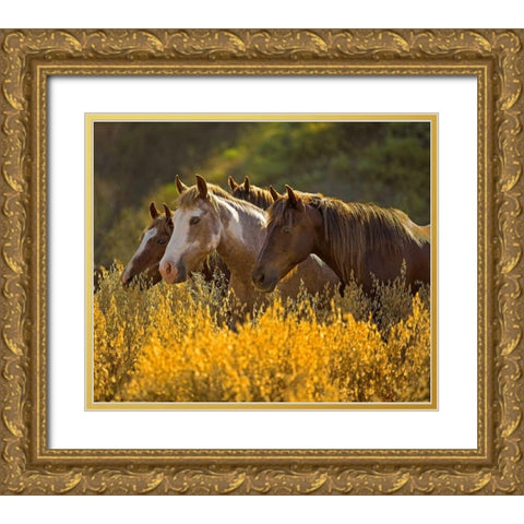 Horses In Gold Gold Ornate Wood Framed Art Print with Double Matting by Linden, Sally