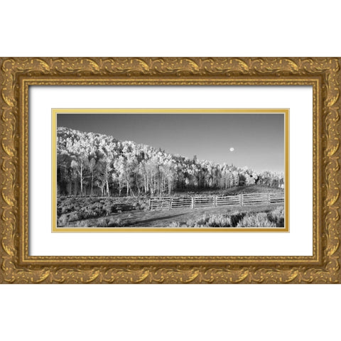 Aspens Moon Gold Ornate Wood Framed Art Print with Double Matting by Linden, Sally