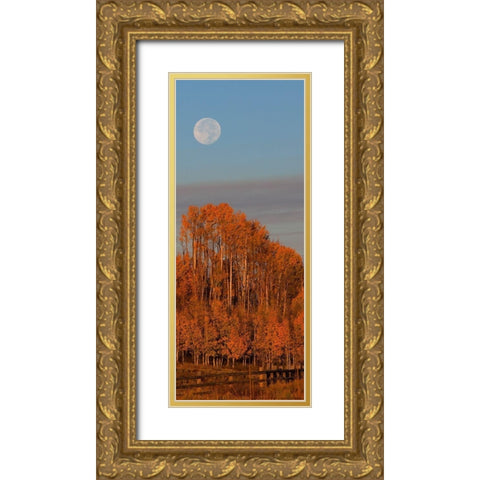 Fall Trees Moon 1 Gold Ornate Wood Framed Art Print with Double Matting by Linden, Sally