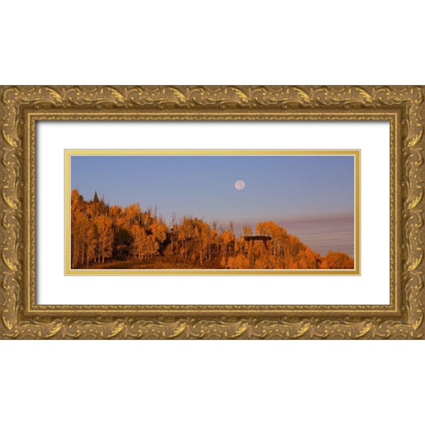 Fall Trees Moon 2 Gold Ornate Wood Framed Art Print with Double Matting by Linden, Sally
