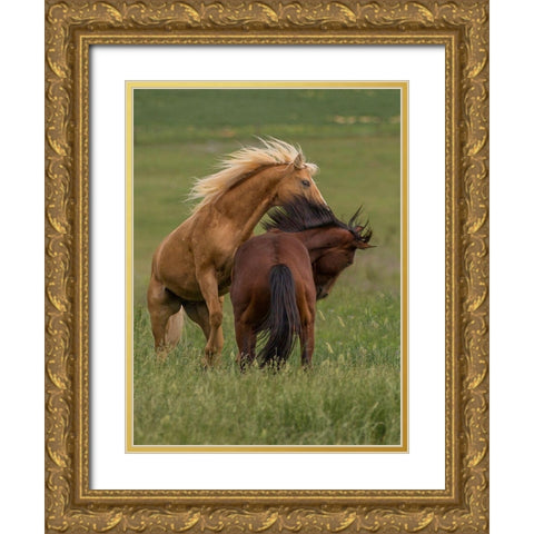 Horse Play Gold Ornate Wood Framed Art Print with Double Matting by Linden, Sally