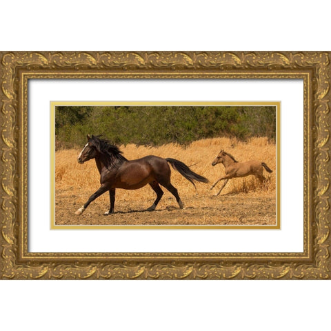 Amante and Amber Gold Ornate Wood Framed Art Print with Double Matting by Linden, Sally