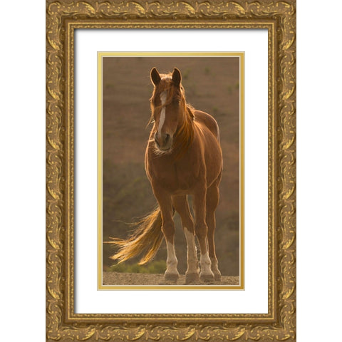 Blowing In The Wind Gold Ornate Wood Framed Art Print with Double Matting by Linden, Sally