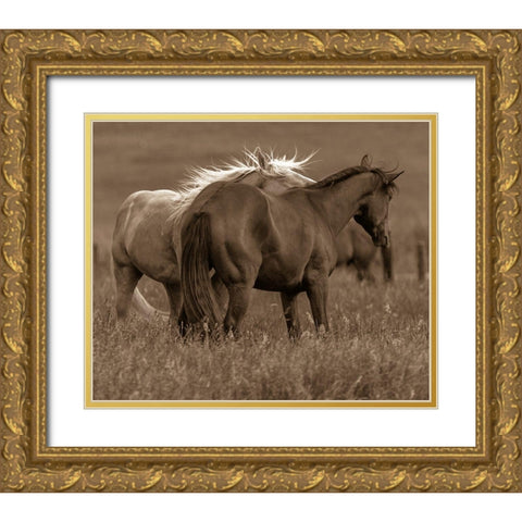 Horse Walk Gold Ornate Wood Framed Art Print with Double Matting by Linden, Sally