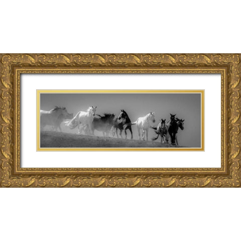 Choctaw BW Gold Ornate Wood Framed Art Print with Double Matting by Linden, Sally