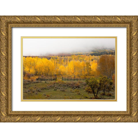Fall and Fog Gold Ornate Wood Framed Art Print with Double Matting by Linden, Sally
