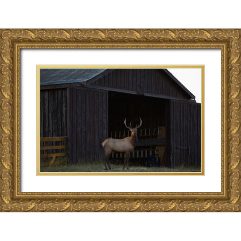 Eat Your Heart Out Hunters Gold Ornate Wood Framed Art Print with Double Matting by Linden, Sally