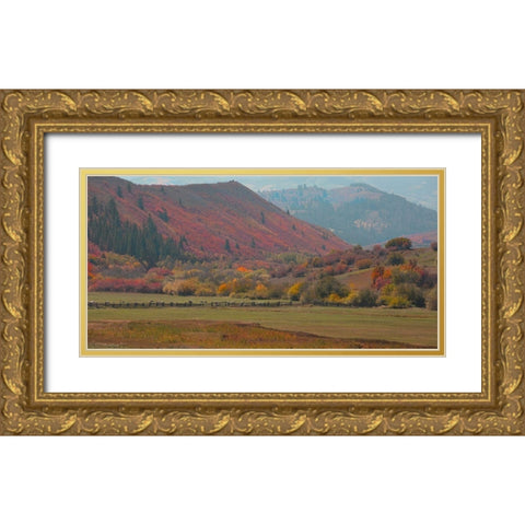 Fall and Sheep Gold Ornate Wood Framed Art Print with Double Matting by Linden, Sally