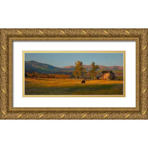 Fall Grazing Gold Ornate Wood Framed Art Print with Double Matting by Linden, Sally
