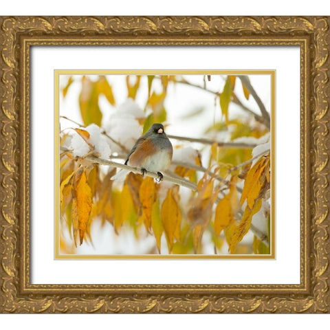 First Snow Gold Ornate Wood Framed Art Print with Double Matting by Linden, Sally