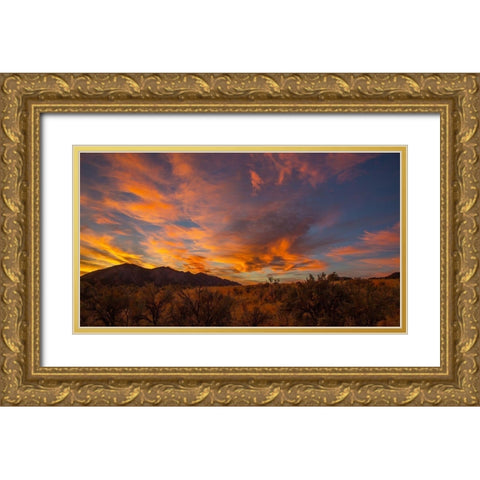 Looking At Hogbacks Gold Ornate Wood Framed Art Print with Double Matting by Linden, Sally