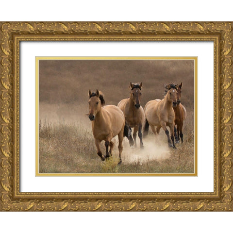 Wild Mares Gold Ornate Wood Framed Art Print with Double Matting by Linden, Sally