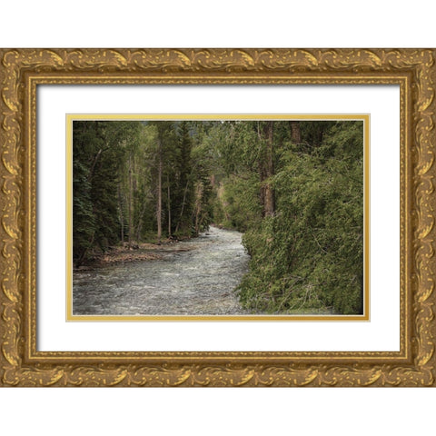 Winding River Gold Ornate Wood Framed Art Print with Double Matting by Linden, Sally