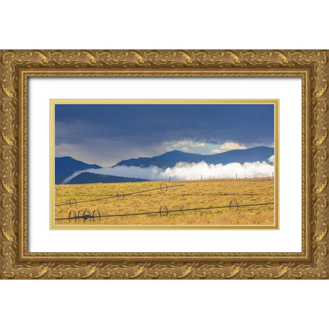 Irrigation Gold Ornate Wood Framed Art Print with Double Matting by Linden, Sally