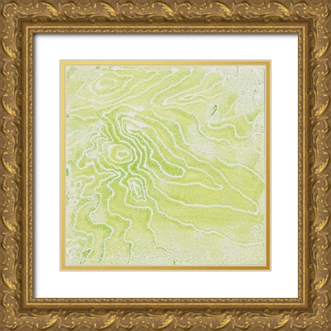 The Mix Gold Ornate Wood Framed Art Print with Double Matting by Van, Laura