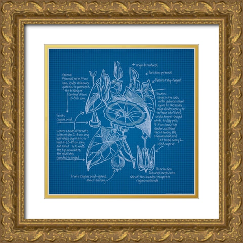 Blueprints 3 Gold Ornate Wood Framed Art Print with Double Matting by Nobleworks, Inc.