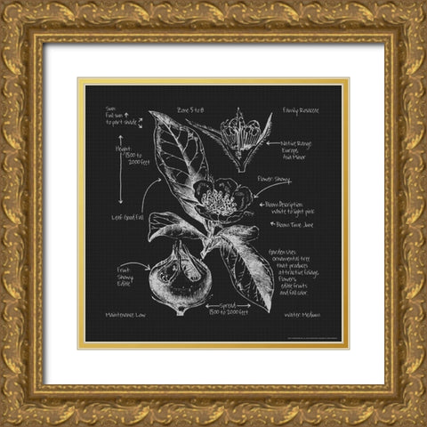 Blueprints 8 Gold Ornate Wood Framed Art Print with Double Matting by Nobleworks, Inc.