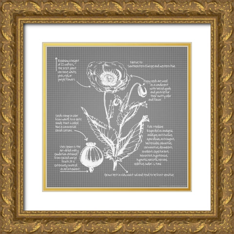Blueprints 9 Gold Ornate Wood Framed Art Print with Double Matting by Nobleworks, Inc.