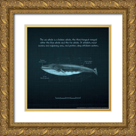 Whaleprint 3 Gold Ornate Wood Framed Art Print with Double Matting by Nobleworks, Inc.