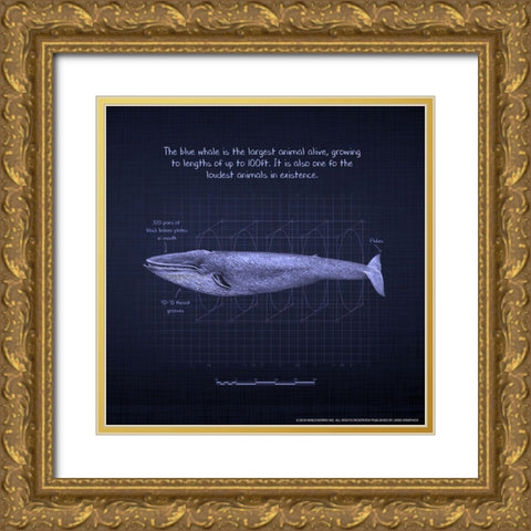 Whaleprint 4 Gold Ornate Wood Framed Art Print with Double Matting by Nobleworks, Inc.
