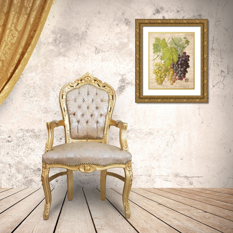 Grapevine 2 Gold Ornate Wood Framed Art Print with Double Matting by Nobleworks, Inc.