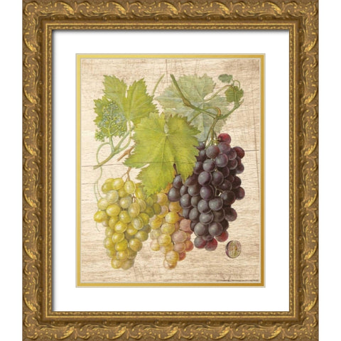 Grapevine 2 Gold Ornate Wood Framed Art Print with Double Matting by Nobleworks, Inc.