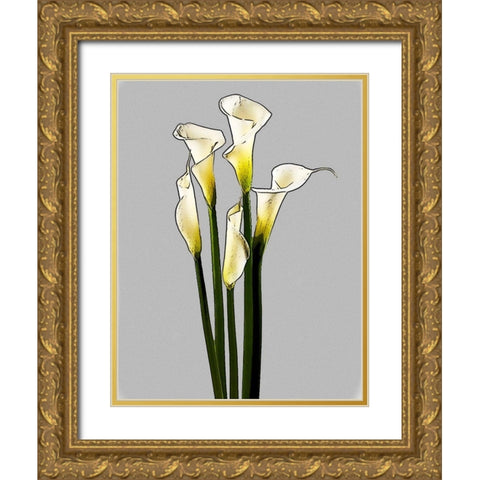 Calla  Gold Ornate Wood Framed Art Print with Double Matting by Segal, Alan