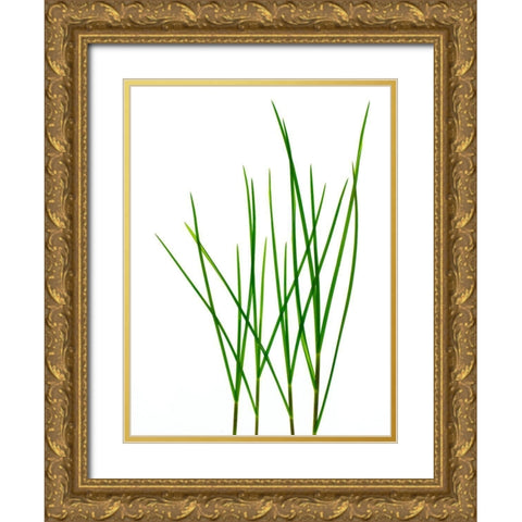 Grass-Vermont Gold Ornate Wood Framed Art Print with Double Matting by Rosenthal, Barry