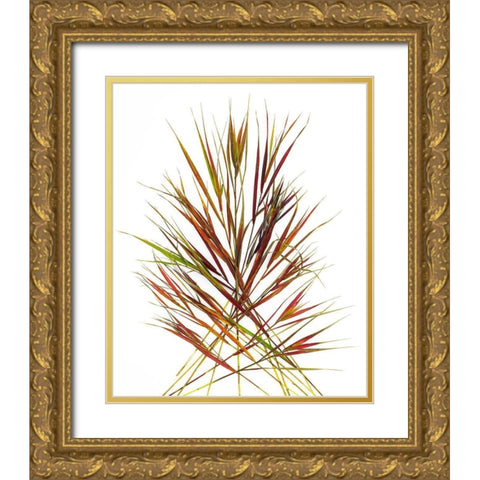 Japenese Grass Gold Ornate Wood Framed Art Print with Double Matting by Rosenthal, Barry