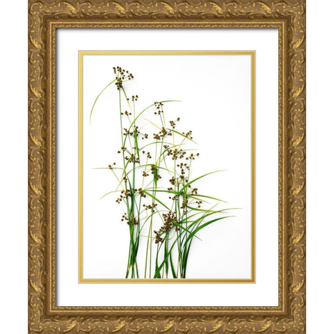 Sedge Gold Ornate Wood Framed Art Print with Double Matting by Rosenthal, Barry