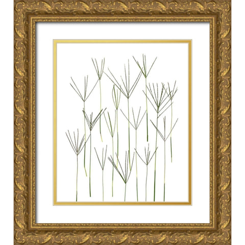 Bermuda Grass Gold Ornate Wood Framed Art Print with Double Matting by Rosenthal, Barry