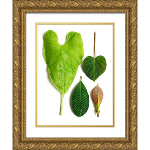 Cloud Forest Gold Ornate Wood Framed Art Print with Double Matting by Rosenthal, Barry